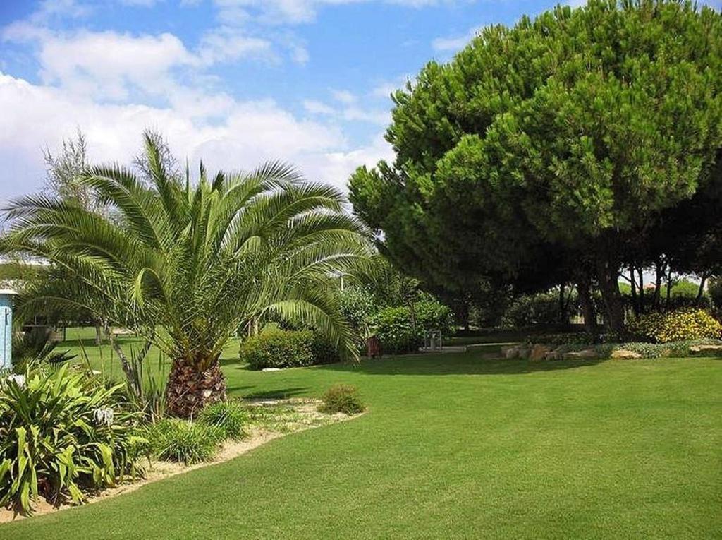 Sunny Apartment Al-Sakia, Quarteira, Vilamoura Δωμάτιο φωτογραφία
